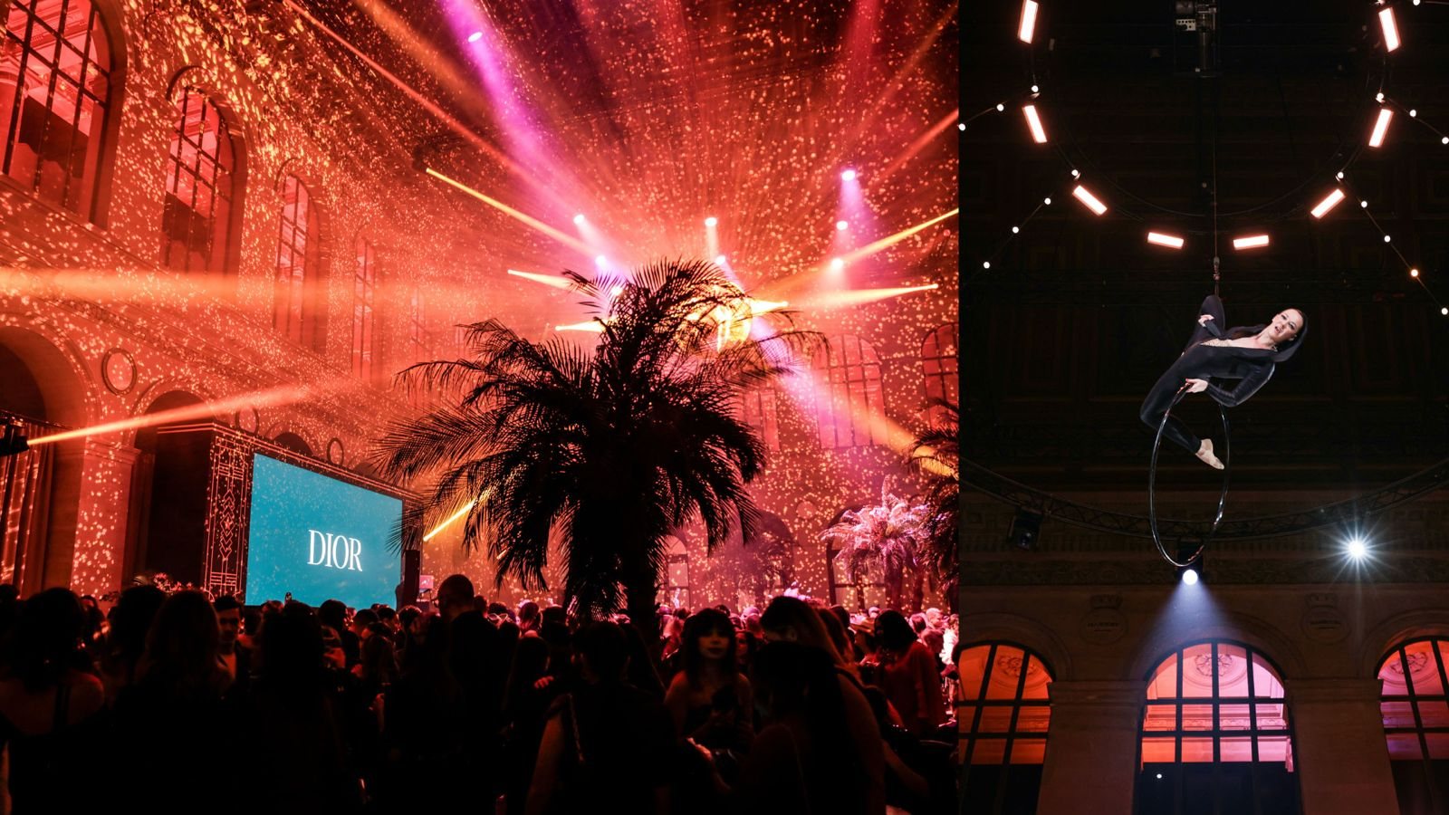 Event production, party and aerial performer